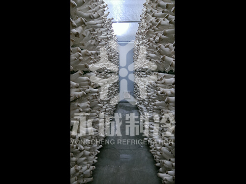 江蘇連云港豐收菇業(yè)有限公司食用菌出菇庫